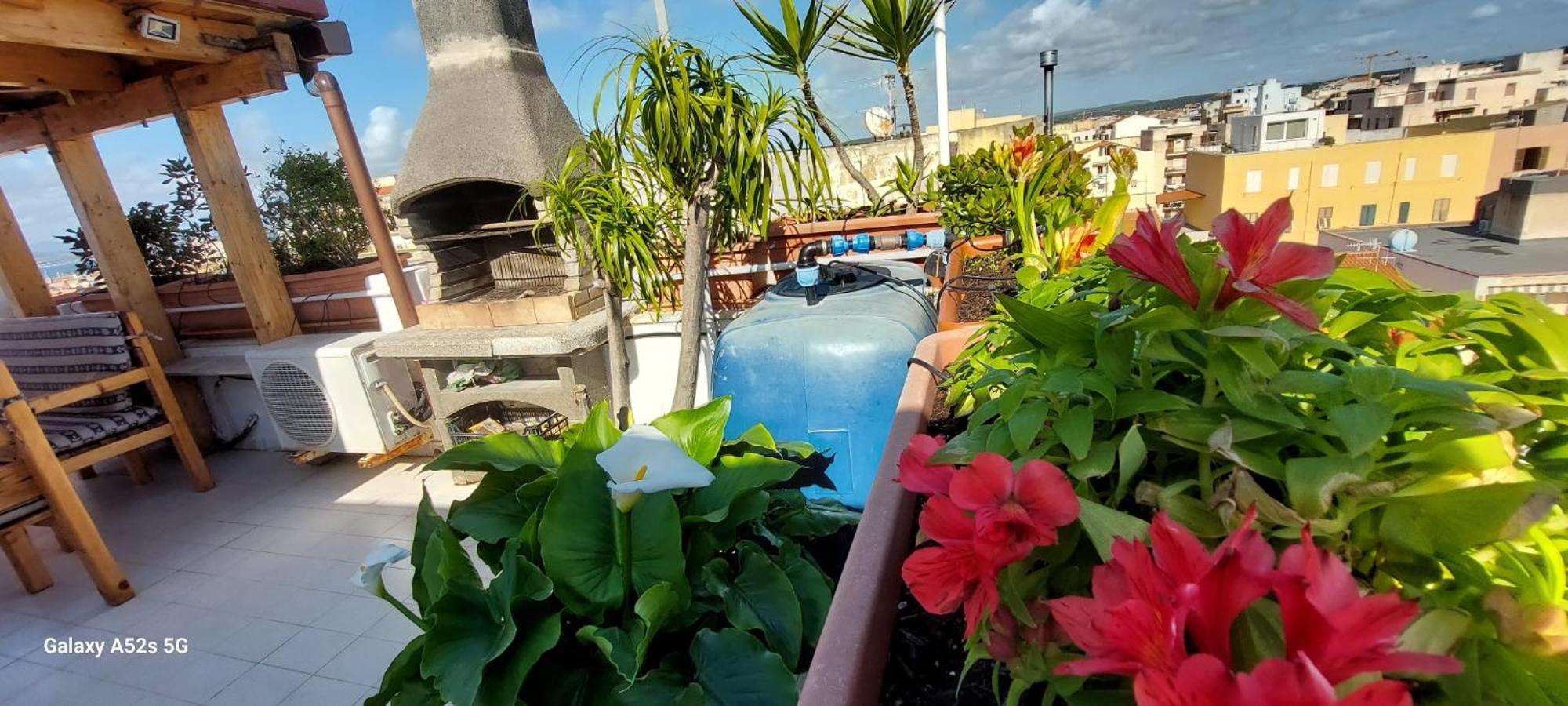 Appartamento Con Terrazza อาลเกโร ภายนอก รูปภาพ